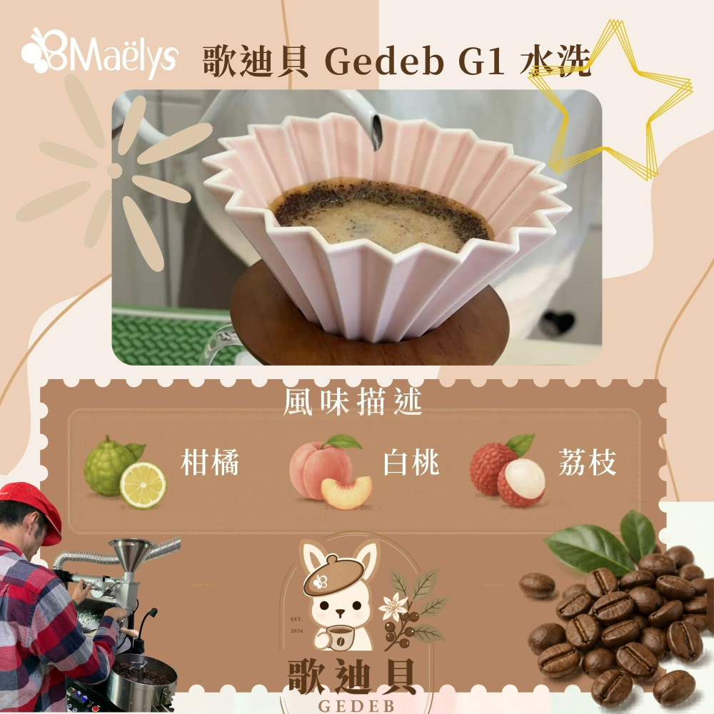 Maelys【歌迪貝Gedeb】衣索比亞 耶加雪菲 沃卡 奇奇雷 G1 水洗｜柑橘・白桃・荔枝｜淺中焙｜精品單品咖啡豆-細節圖4