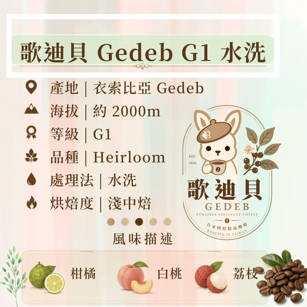 Maelys【歌迪貝Gedeb】衣索比亞 耶加雪菲 沃卡 奇奇雷 G1 水洗｜柑橘・白桃・荔枝｜淺中焙｜精品單品咖啡豆-細節圖7