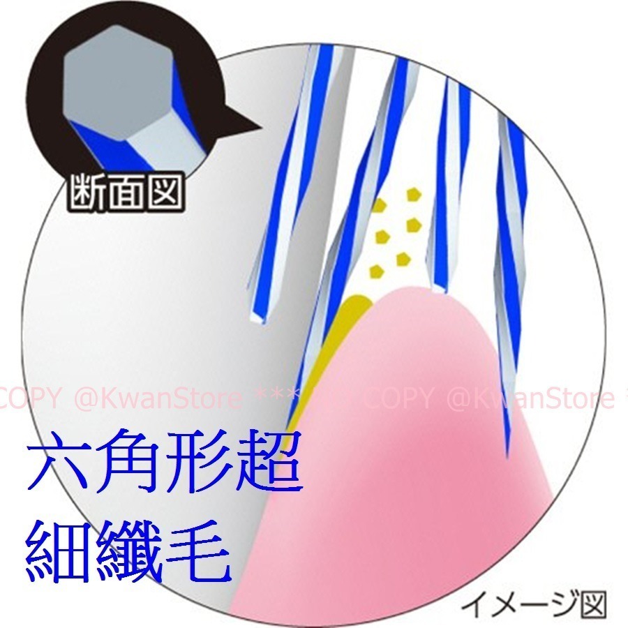 [1支]日本製 EBiSU 惠百施 6角型超纖細牙刷 軟毛~兩種不同刷毛~顏色隨機出貨喔E-B8057S-細節圖3