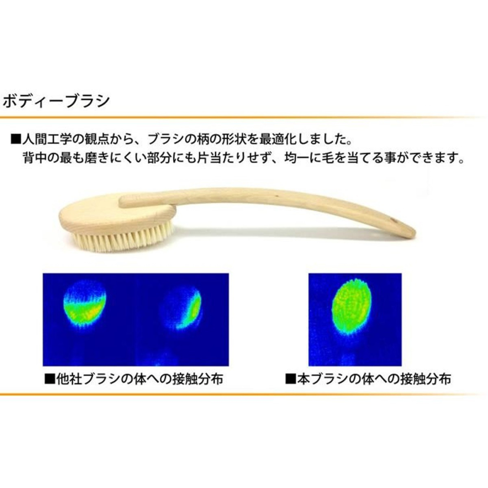 日本製 天然毛洗澡刷 人體工學把柄曲線設計 天然木把手 天然動物毛 洗背刷子-細節圖2