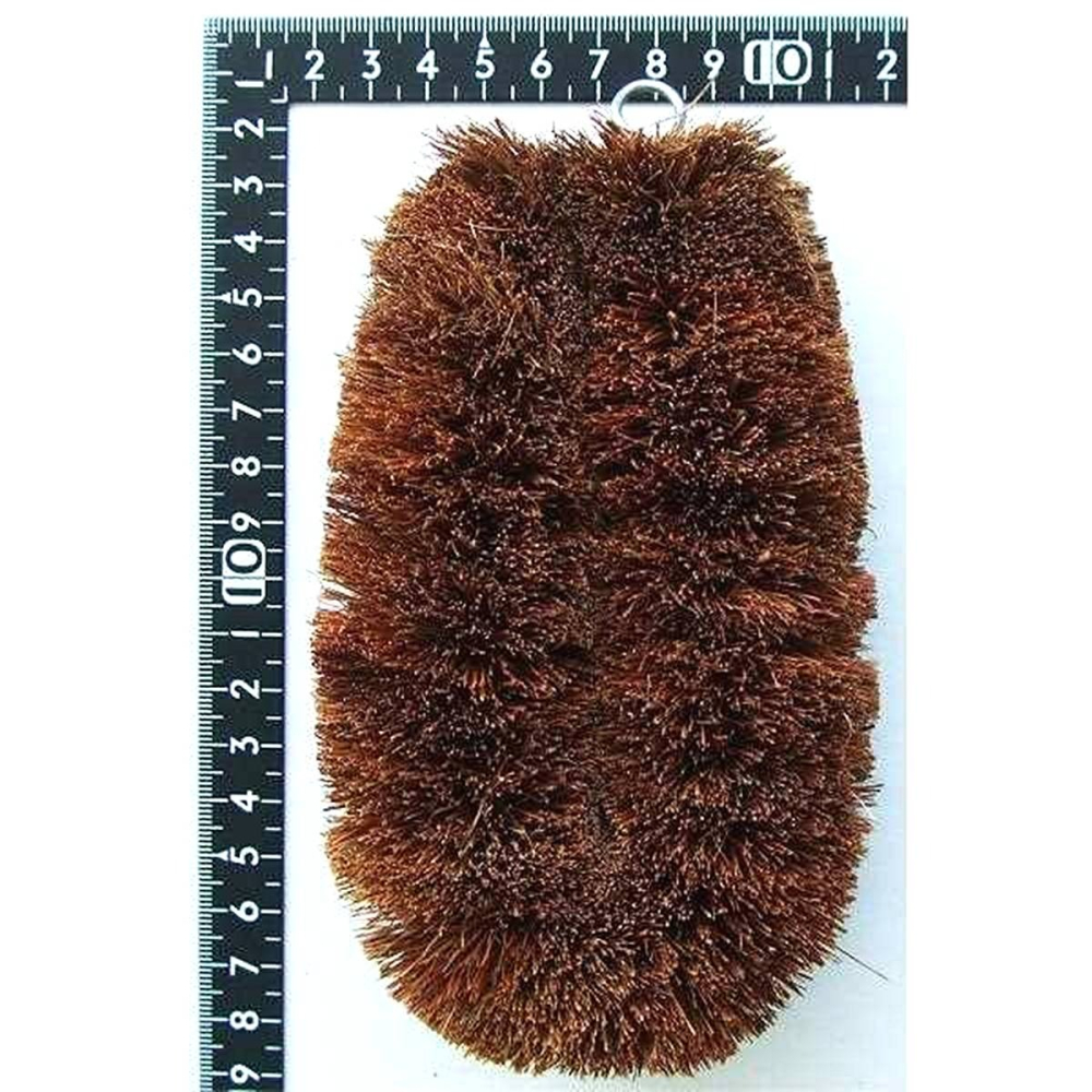 (大) 日本進口 PAL棕櫚刷 鍋刷 菜瓜布 野菜刷 天然椰殼纖維 質地堅韌-細節圖3