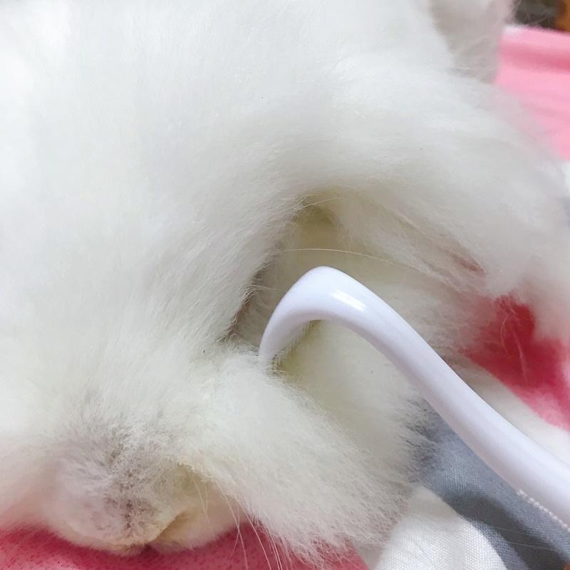 (現貨) 日本 RaKe Comb 細部整理梳 兔子 梳子-細節圖6