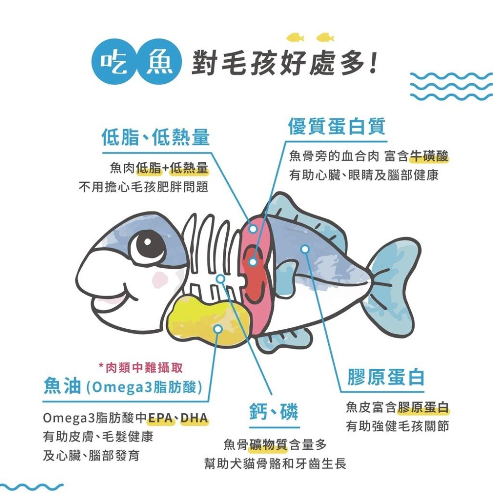 ❖三吉米熊❖【鰹節薄片 | 日本MICHINOKUFARM】煙燻鰹魚_狗貓零食/獎勵零食_訓練零食_佐餐零食_挑食良伴-細節圖5