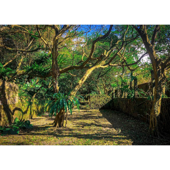 [Peralta 普羅走踏]  台灣風景明信片 基隆、台北、新北-規格圖2