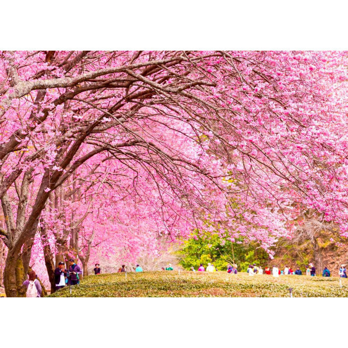 [Peralta 普羅走踏]  台灣風景明信片 苗栗、台中、南投-規格圖2