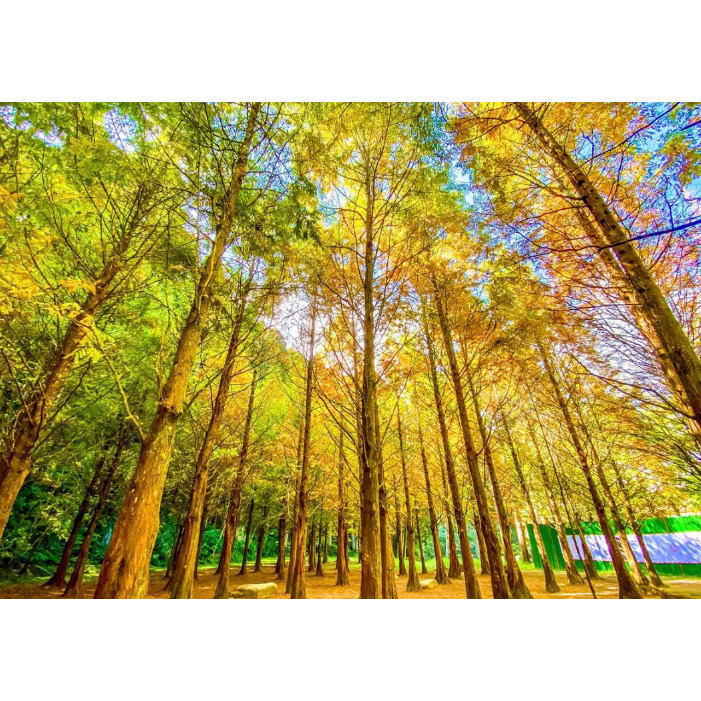 [Peralta 普羅走踏]  台灣風景明信片 苗栗、台中、南投-規格圖2