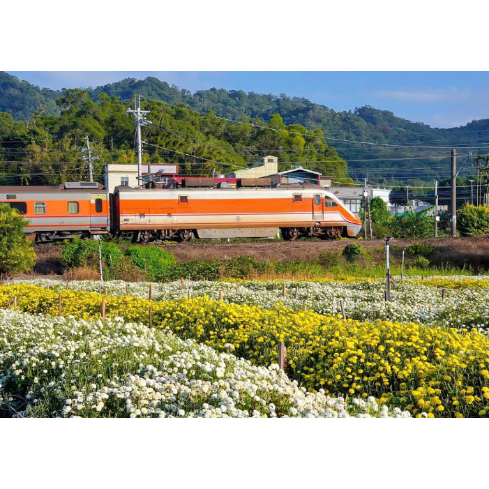 [Peralta 普羅走踏]  台灣風景明信片 苗栗、台中、南投-規格圖2