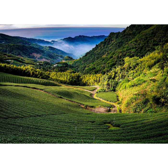 [Peralta 普羅走踏]  台灣風景明信片 苗栗、台中、南投-規格圖2