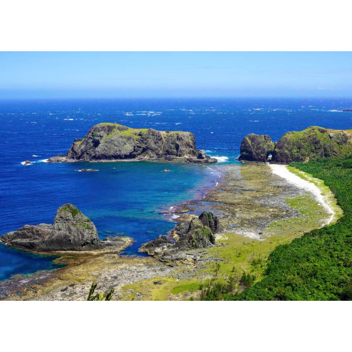 睡美人與哈巴狗