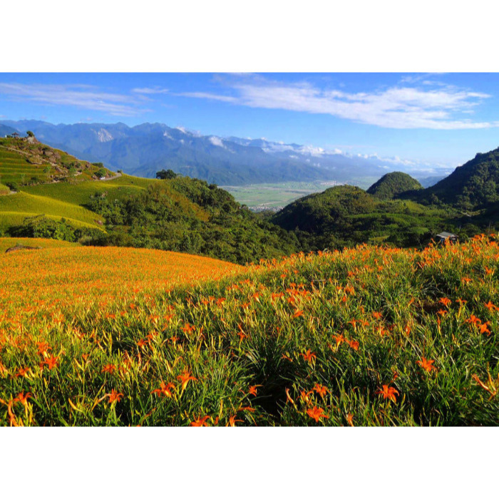 [Peralta 普羅走踏]  台灣風景明信片 宜蘭、花蓮、台東-規格圖2