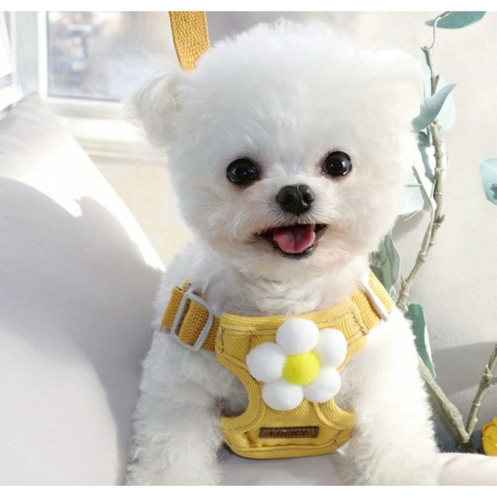 現貨 寵物3D牽引繩背心式 小型犬 立體配件圖案-細節圖4