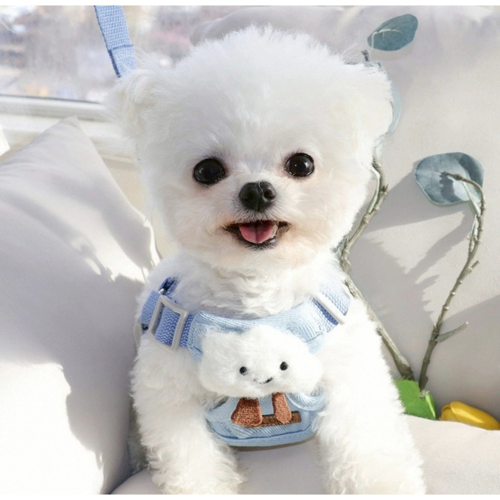 現貨 寵物3D牽引繩背心式 小型犬 立體配件圖案-細節圖5