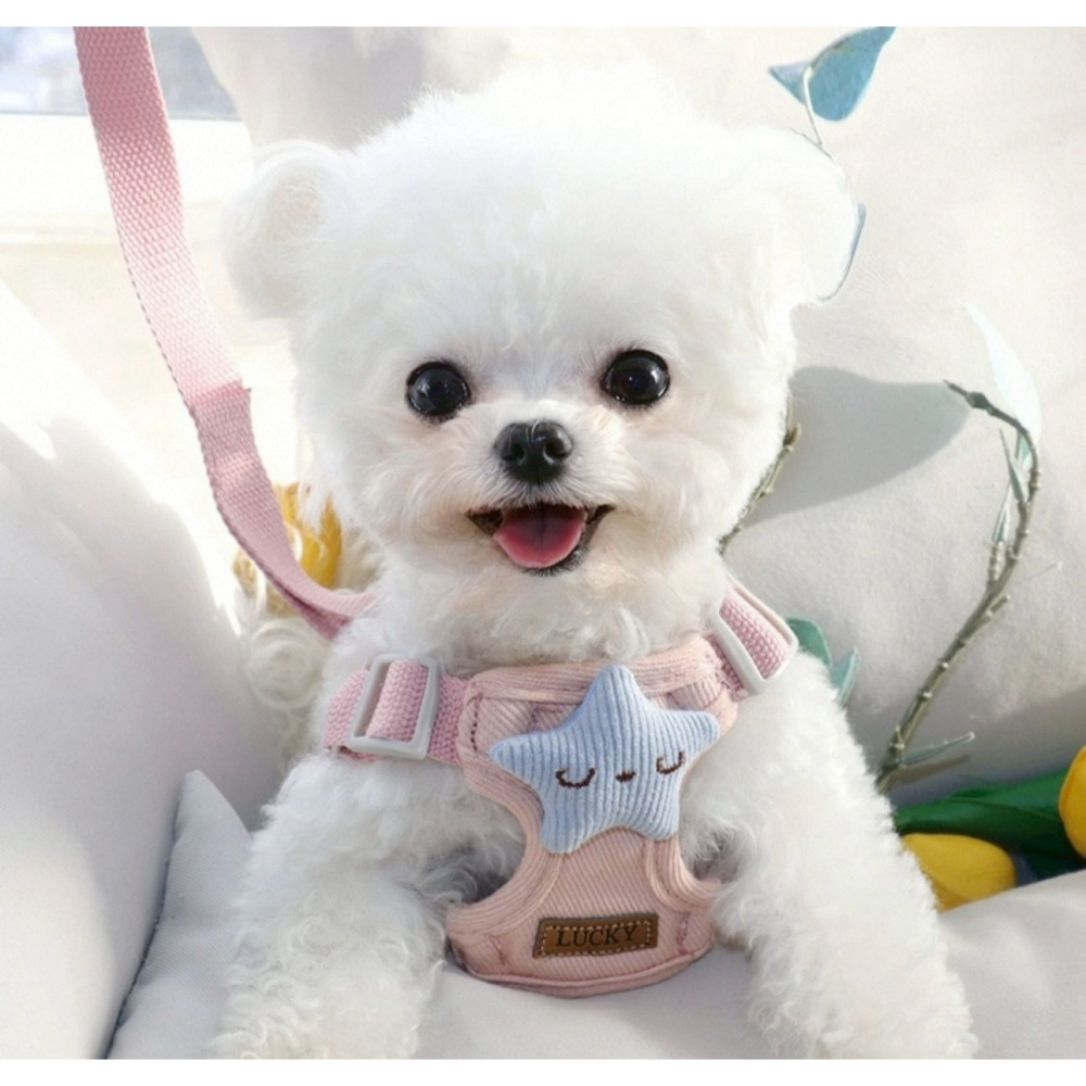 現貨 寵物3D牽引繩背心式 小型犬 立體配件圖案-細節圖6