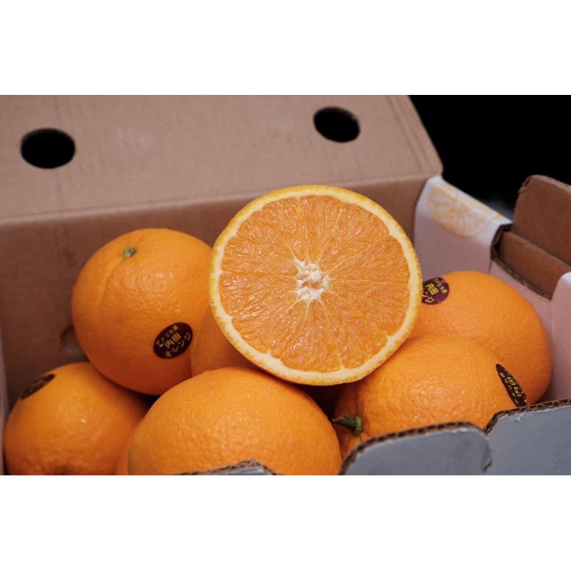 🇺🇸美國加州-壽康蜜橙-細節圖2