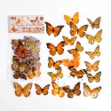 BON BON BONNIE🐰 手帳素材 蝴蝶自然叢書系列 蝴蝶貼紙包-規格圖5