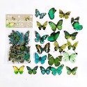 BON BON BONNIE🐰 手帳素材 蝴蝶自然叢書系列 蝴蝶貼紙包-規格圖5