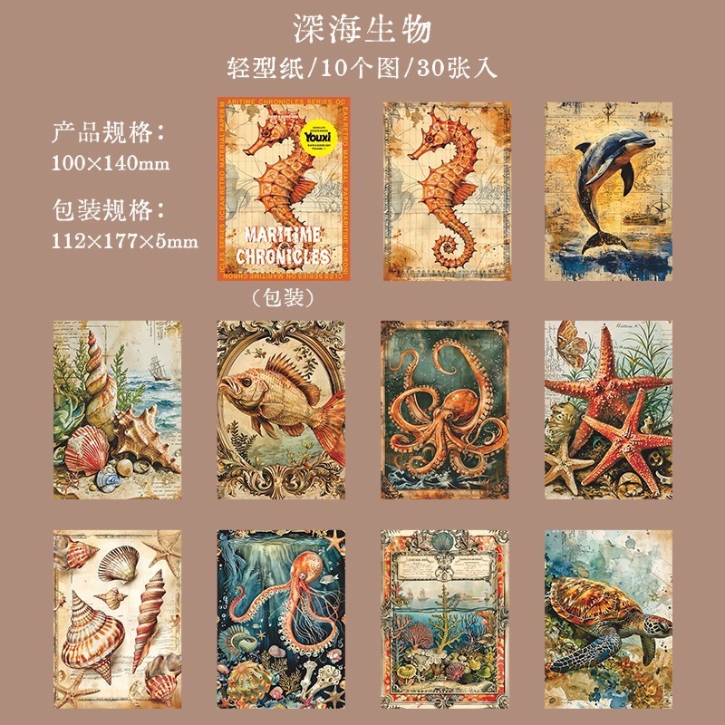 BON BON BONNIE🐰美好的一天 航海紀行系列 海洋神話素材紙-規格圖7