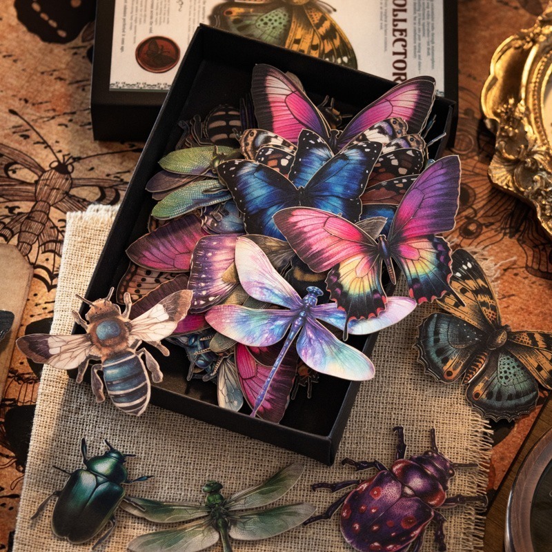BONBONBONNIE🐰番茄醬少女 昆蟲收藏家系列 大分量復古昆蟲蝴蝶貼紙-細節圖2
