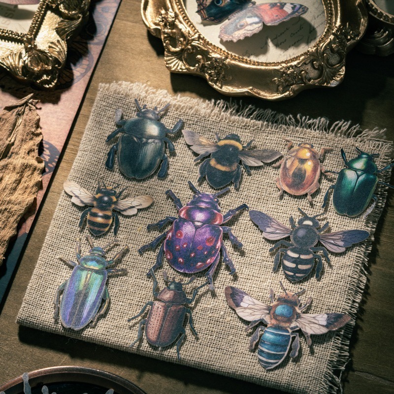 BONBONBONNIE🐰番茄醬少女 昆蟲收藏家系列 大分量復古昆蟲蝴蝶貼紙-細節圖4