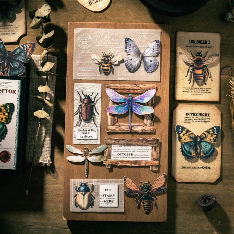 BONBONBONNIE🐰番茄醬少女 昆蟲收藏家系列 大分量復古昆蟲蝴蝶貼紙-細節圖7