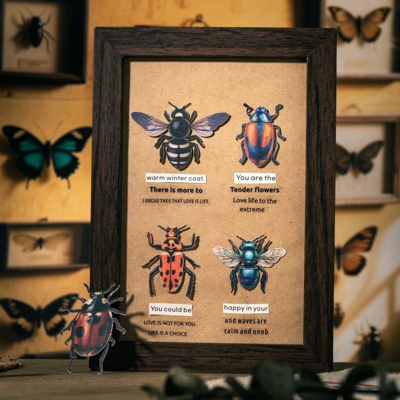 BONBONBONNIE🐰番茄醬少女 昆蟲收藏家系列 大分量復古昆蟲蝴蝶貼紙-細節圖8