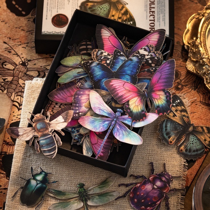 BONBONBONNIE🐰番茄醬少女 昆蟲收藏家系列 大分量復古昆蟲蝴蝶貼紙-細節圖2