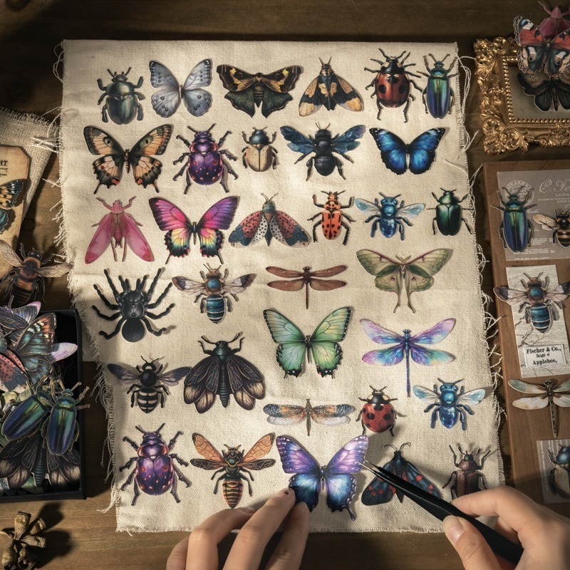 BONBONBONNIE🐰番茄醬少女 昆蟲收藏家系列 大分量復古昆蟲蝴蝶貼紙-細節圖6