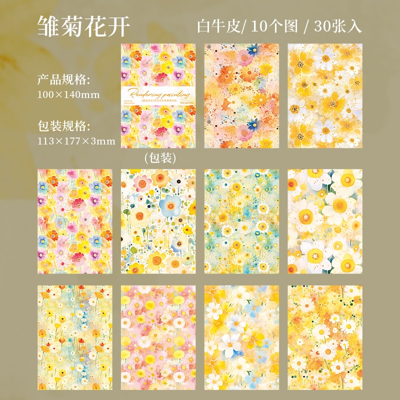 3.雛菊花開