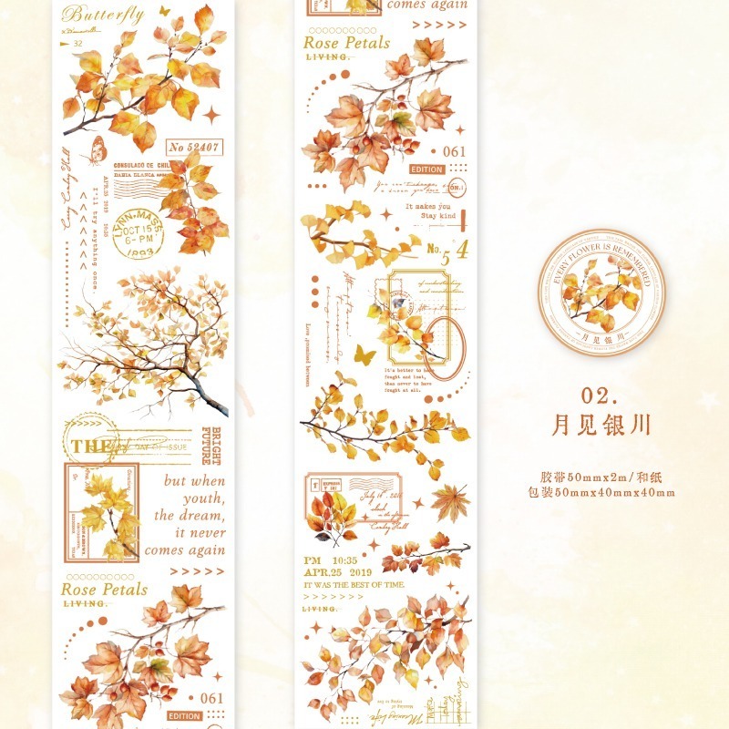BONBONBONNIE🐰暮光 南枝風信系列 復古枝葉文字和紙膠帶-規格圖9