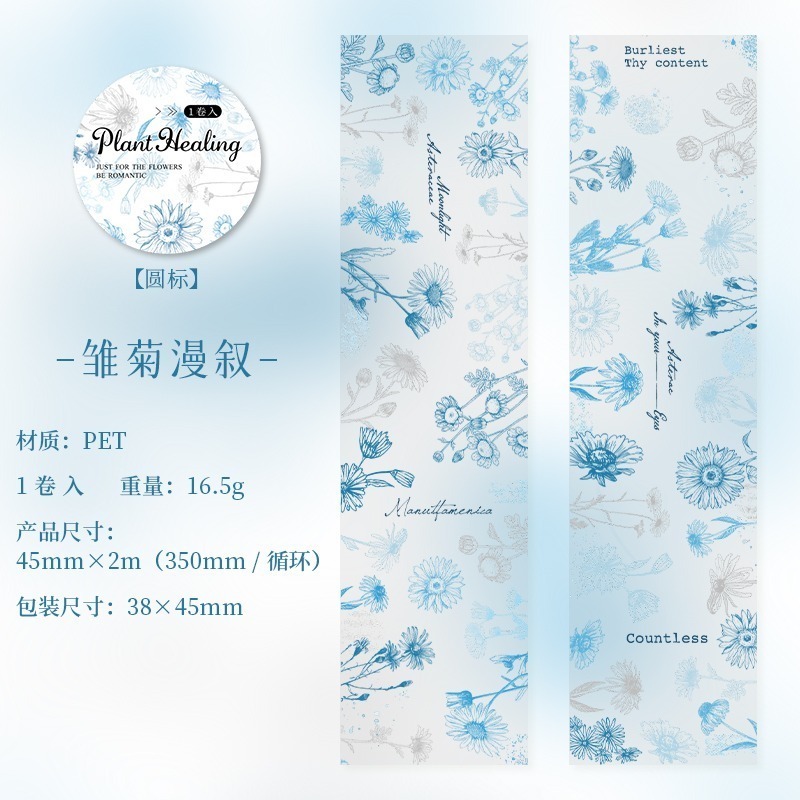 3.雛菊漫敘