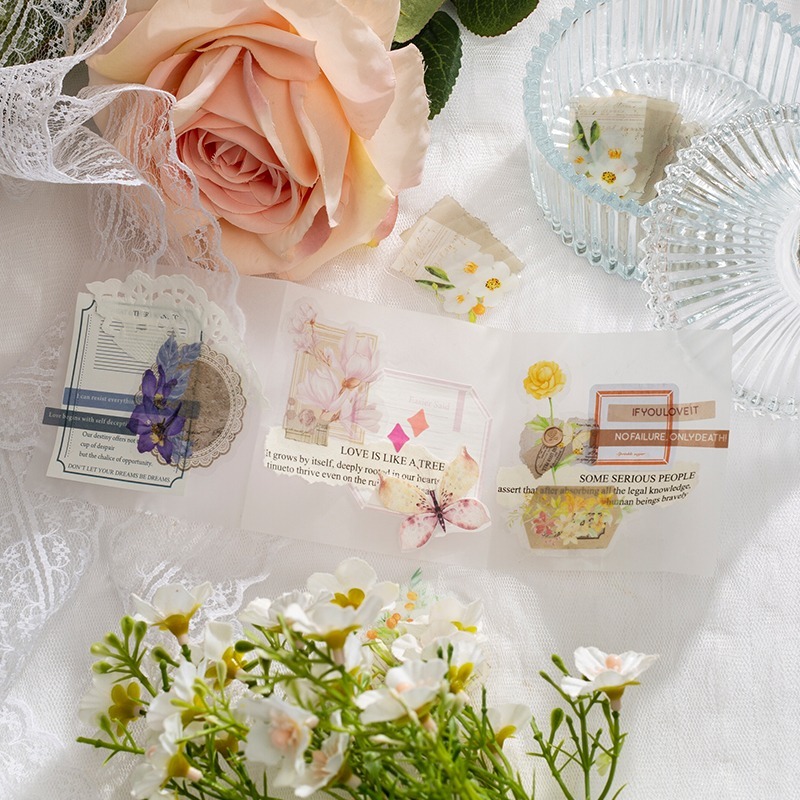 BONBONBONNIE🐰美好的一天 溫暖如初系列 輕復古植物PET貼紙包-細節圖7