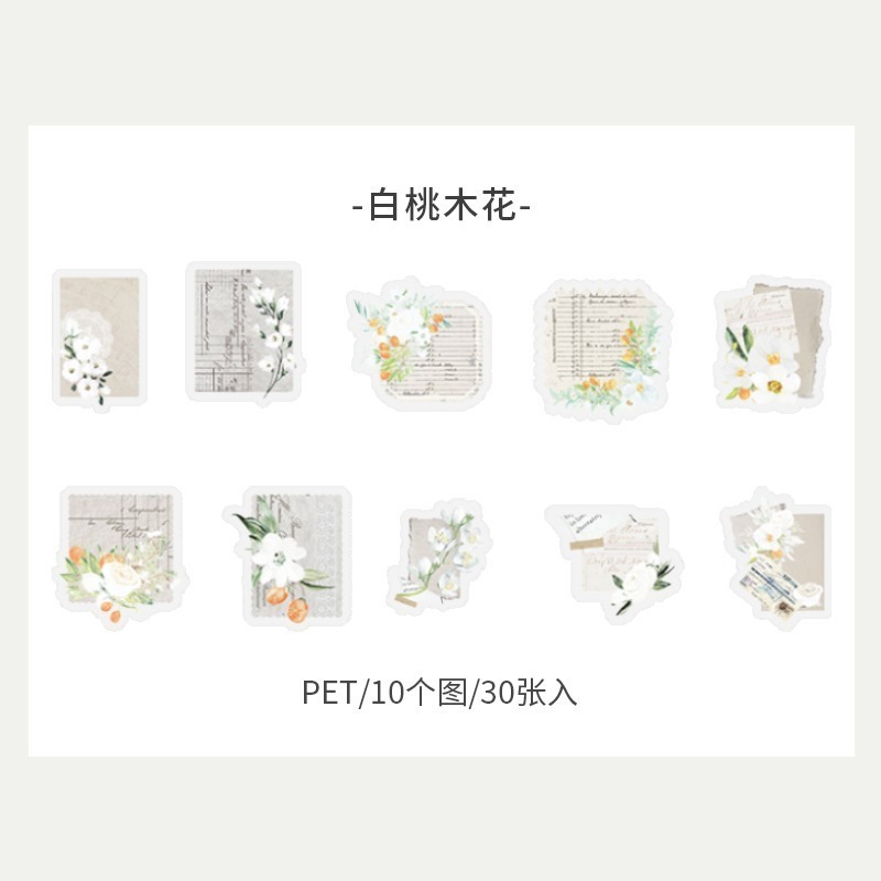 BONBONBONNIE🐰美好的一天 溫暖如初系列 輕復古植物PET貼紙包-規格圖10