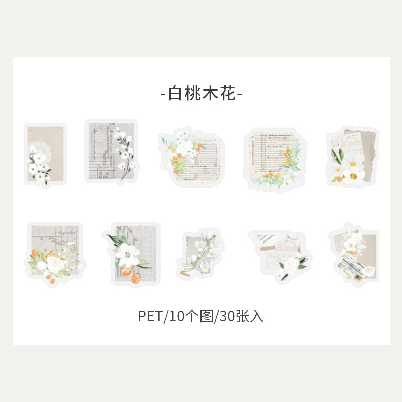 BONBONBONNIE🐰美好的一天 溫暖如初系列 輕復古植物PET貼紙包-規格圖10