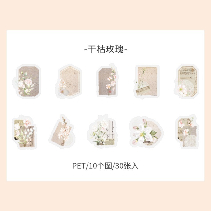 BONBONBONNIE🐰美好的一天 溫暖如初系列 輕復古植物PET貼紙包-規格圖10