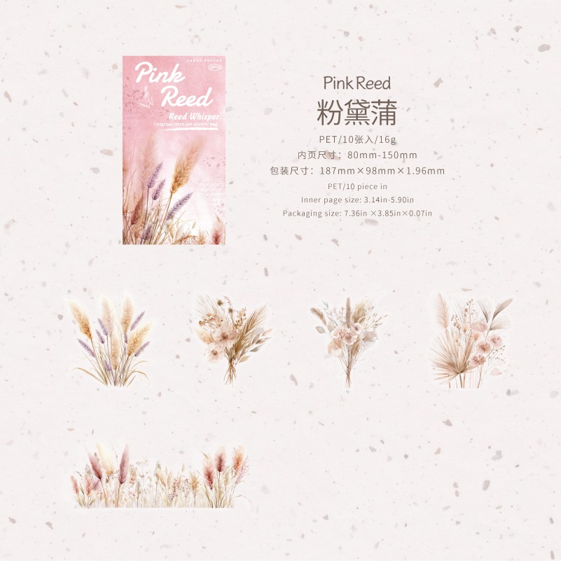 BONBONBONNIE🐰糖詩 蘆葦絮語 植物 PET長條貼紙包-規格圖8