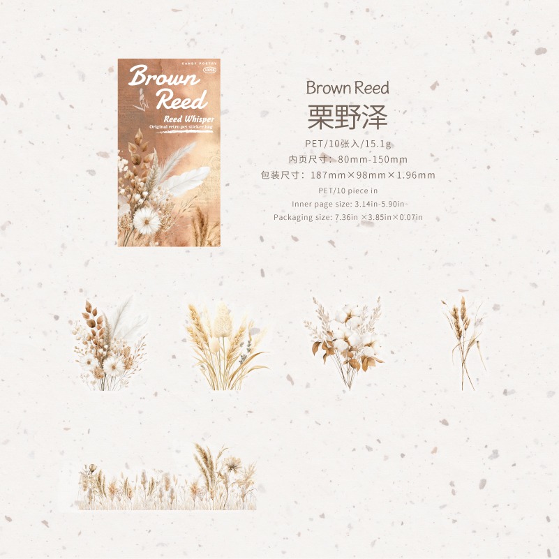 BONBONBONNIE🐰糖詩 蘆葦絮語 植物 PET長條貼紙包-規格圖8