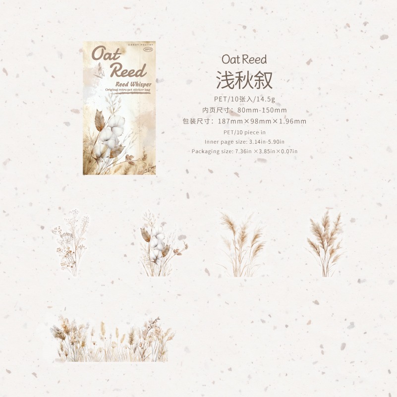 BONBONBONNIE🐰糖詩 蘆葦絮語 植物 PET長條貼紙包-規格圖8