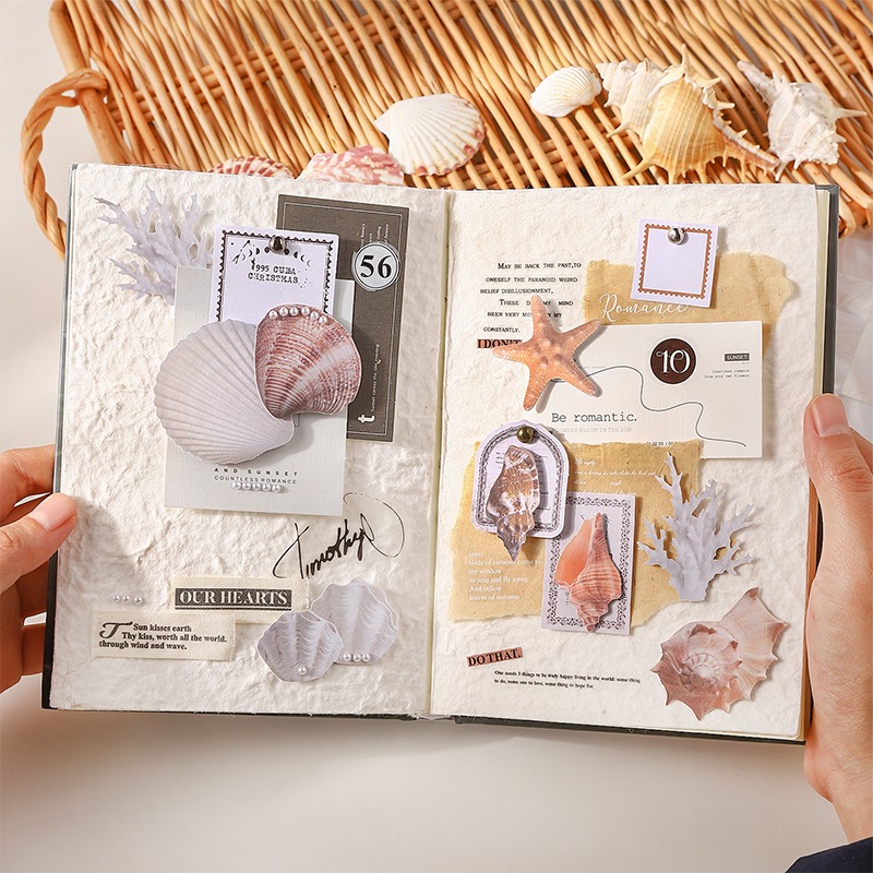 BONBONBONNIE🐰番茄醬少女 送你一筐貝殼系列 貝殼硬卡海洋素材-細節圖5