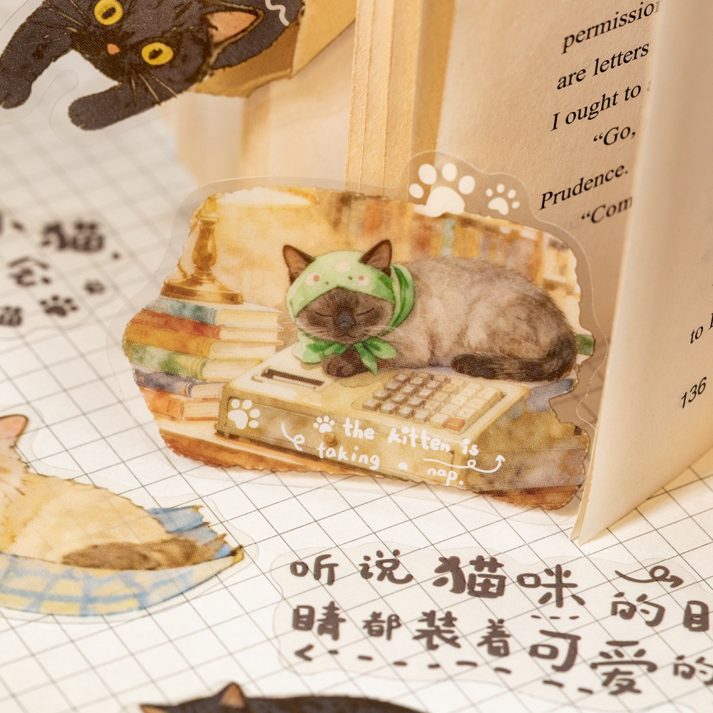 BONBONBONNIE🐰語閑 貓咪日誌 可愛寵物 PET貼紙包-細節圖5