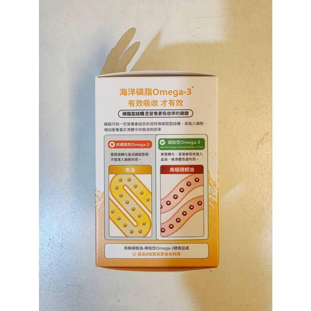 關注折價 全新【健康工程師】南極磷蝦油 晶亮水潤配方 磷脂型Omega-3 30粒/盒 蔡啊嘎代言-細節圖3