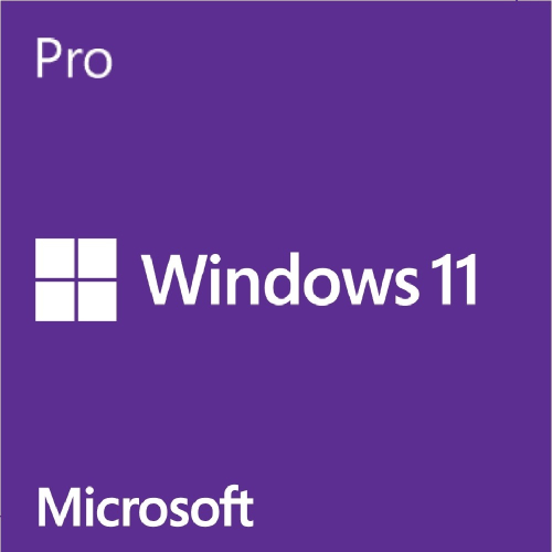 Microsoft 微軟 Windows 11 Pro 專業中文 64位元隨機版《含DVD》