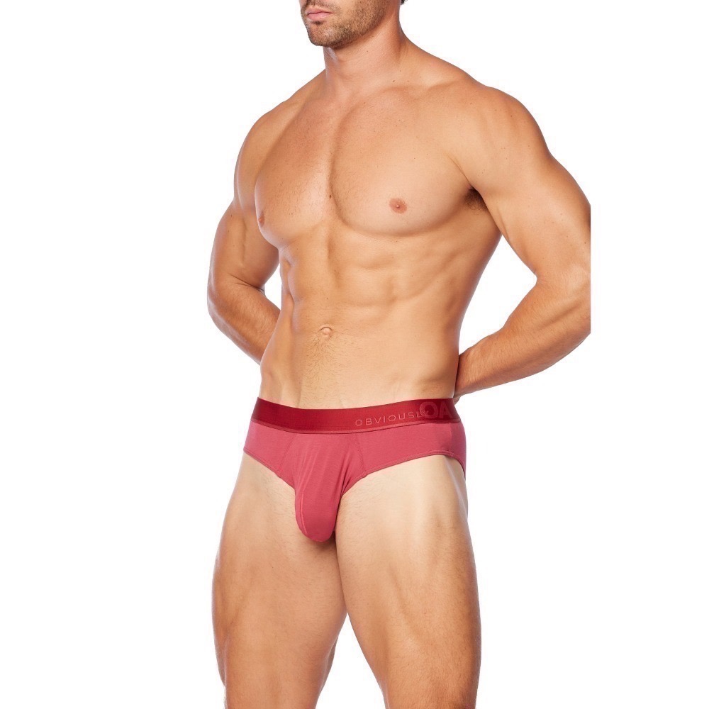 【OIT】Obviously-Primeman-Brief(AnatoMax)-標準款三角內褲(限定款顏色)-規格圖10