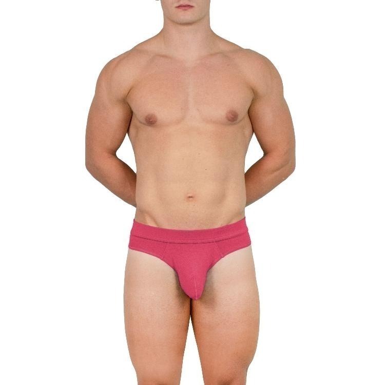 【OIT】Obviously-Elite-Hipster Brief(AnatoMax)-三角內褲(低腰窄邊款)-細節圖4