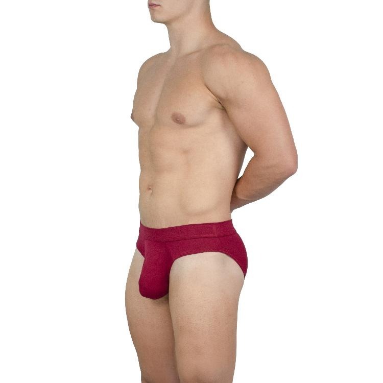 【OIT】Obviously-Elite-Hipster Brief(AnatoMax)-三角內褲(低腰窄邊款)-細節圖2