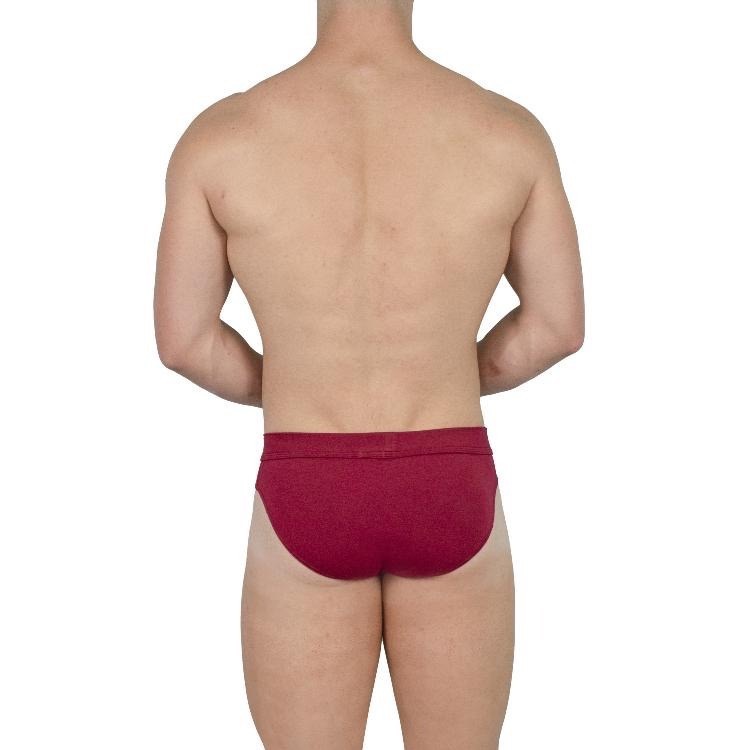 【OIT】Obviously-Elite-Hipster Brief(AnatoMax)-三角內褲(低腰窄邊款)-細節圖3