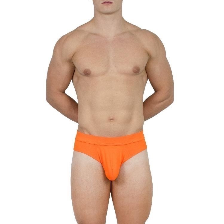 【OIT】Obviously-Elite-Brief(AnatoMax)-三角內褲(標準款)-細節圖2