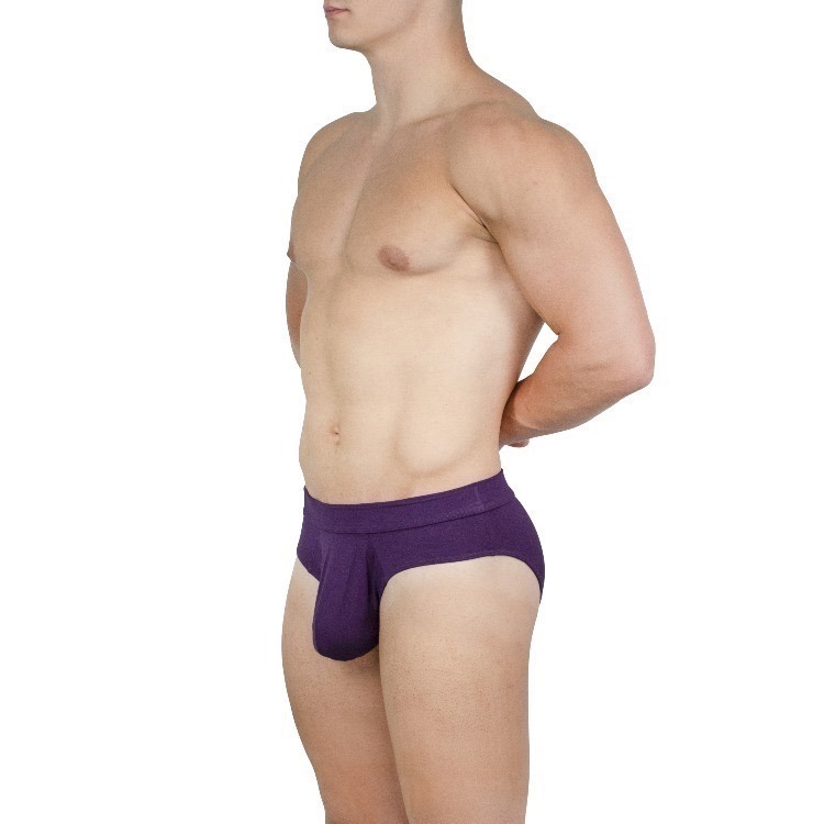 【OIT】Obviously-Elite-Brief(AnatoMax)-三角內褲(標準款)-規格圖11