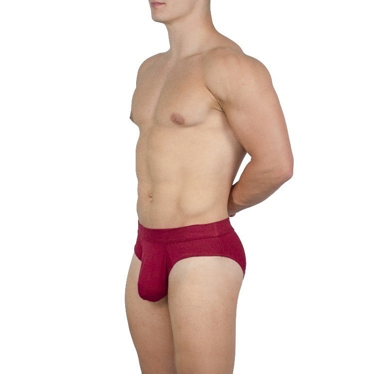 【OIT】Obviously-Elite-Brief(AnatoMax)-三角內褲(標準款)-規格圖9