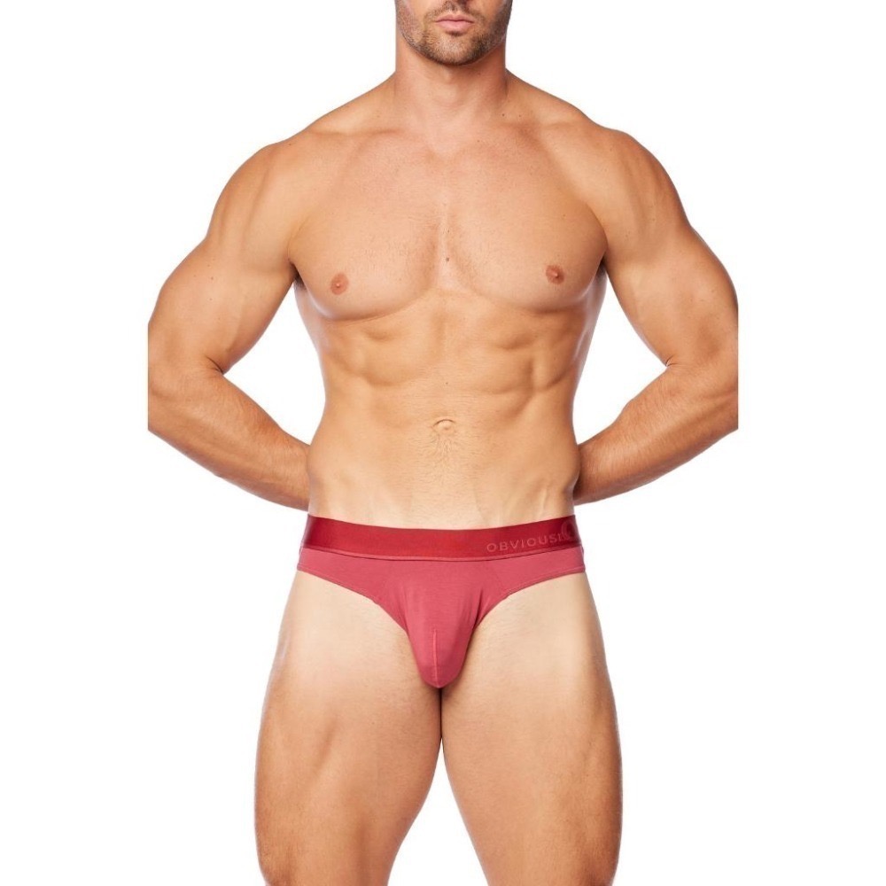 【OIT】Obviously-Primeman-HipsterBrief(AnatoMax)-低腰窄邊三角褲(限定顏色)-細節圖4