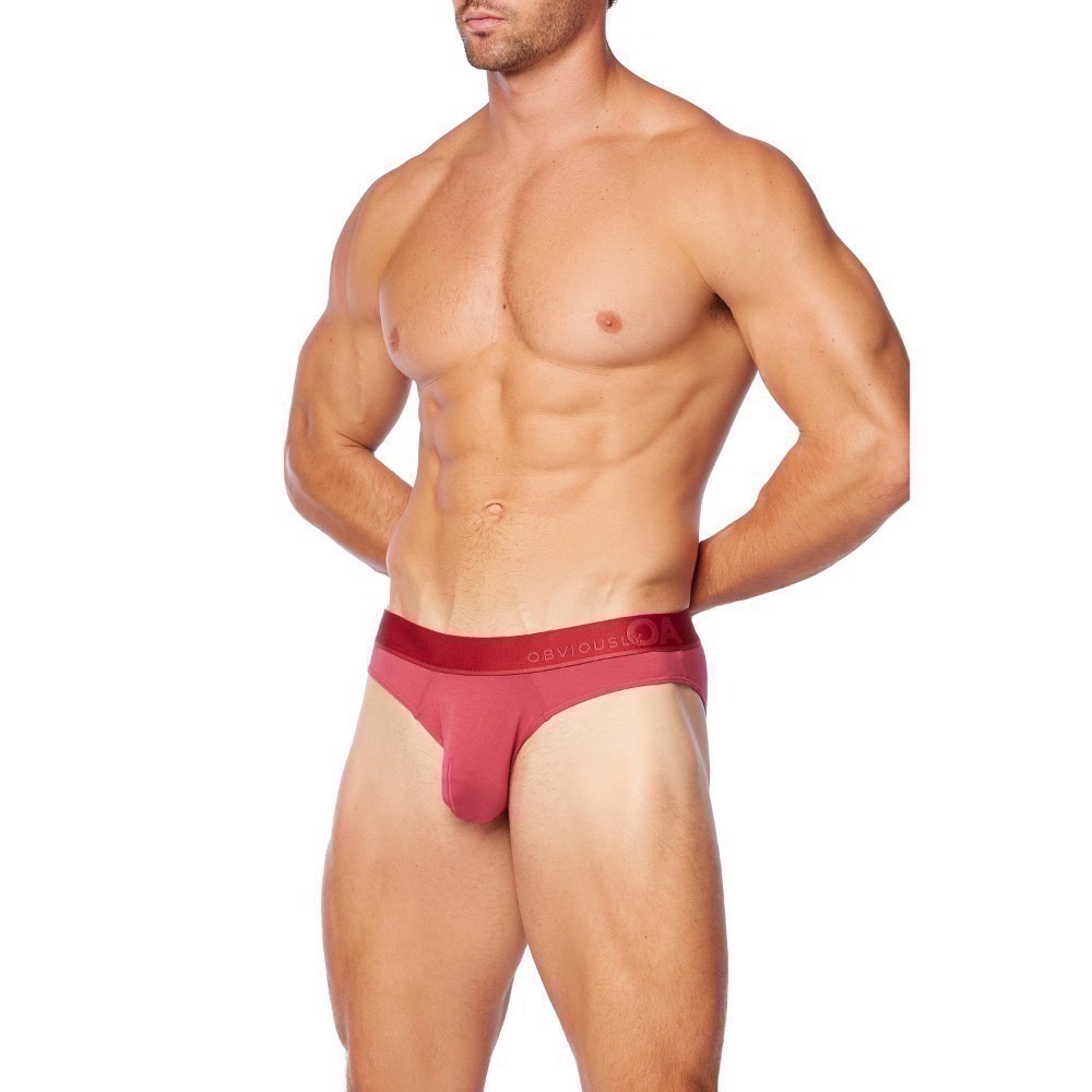 【OIT】Obviously-Primeman-HipsterBrief(AnatoMax)-低腰窄邊三角褲(限定顏色)-規格圖10